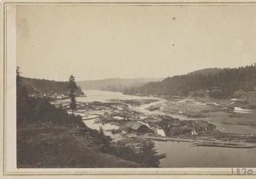 The Evolution of Media Companies in Clackamas County, Oregon: A Comprehensive History